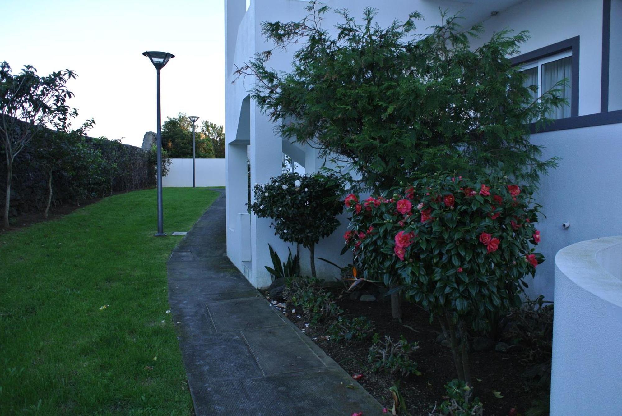 Casa Simba , Where The Fun Begins Ponta Delgada  Luaran gambar
