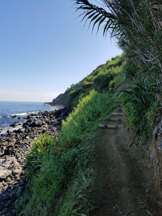 Casa Simba , Where The Fun Begins Ponta Delgada  Luaran gambar